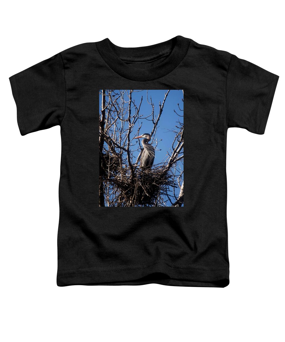 Blue Heron Toddler T-Shirt featuring the photograph Great Blue Heron - 1 by David Bearden