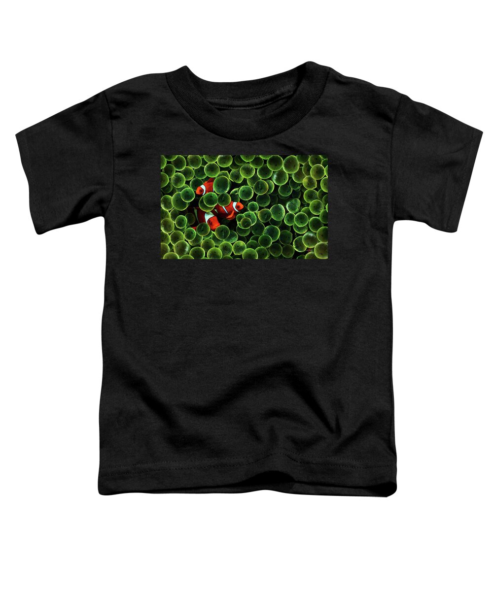Anemon Toddler T-Shirt featuring the painting Green Bubble Tip Anemone and Three Percula Clowns by Russ Harris