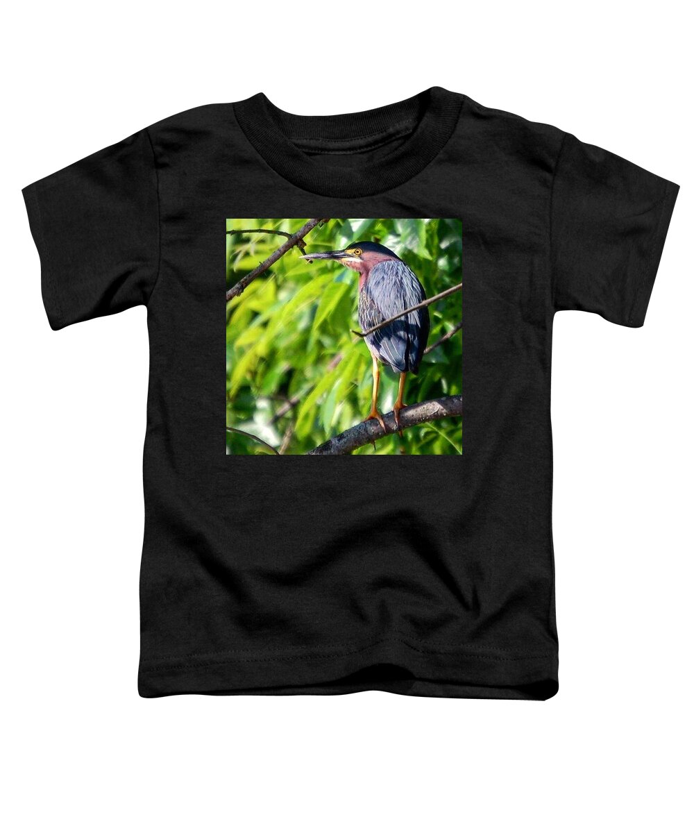 Birds Toddler T-Shirt featuring the photograph Green Heron by Sumoflam Photography