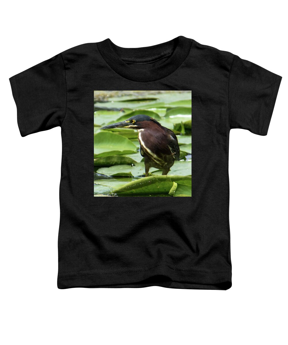 Green Heron Toddler T-Shirt featuring the photograph Green Heron with Damselfly by Michael Hall