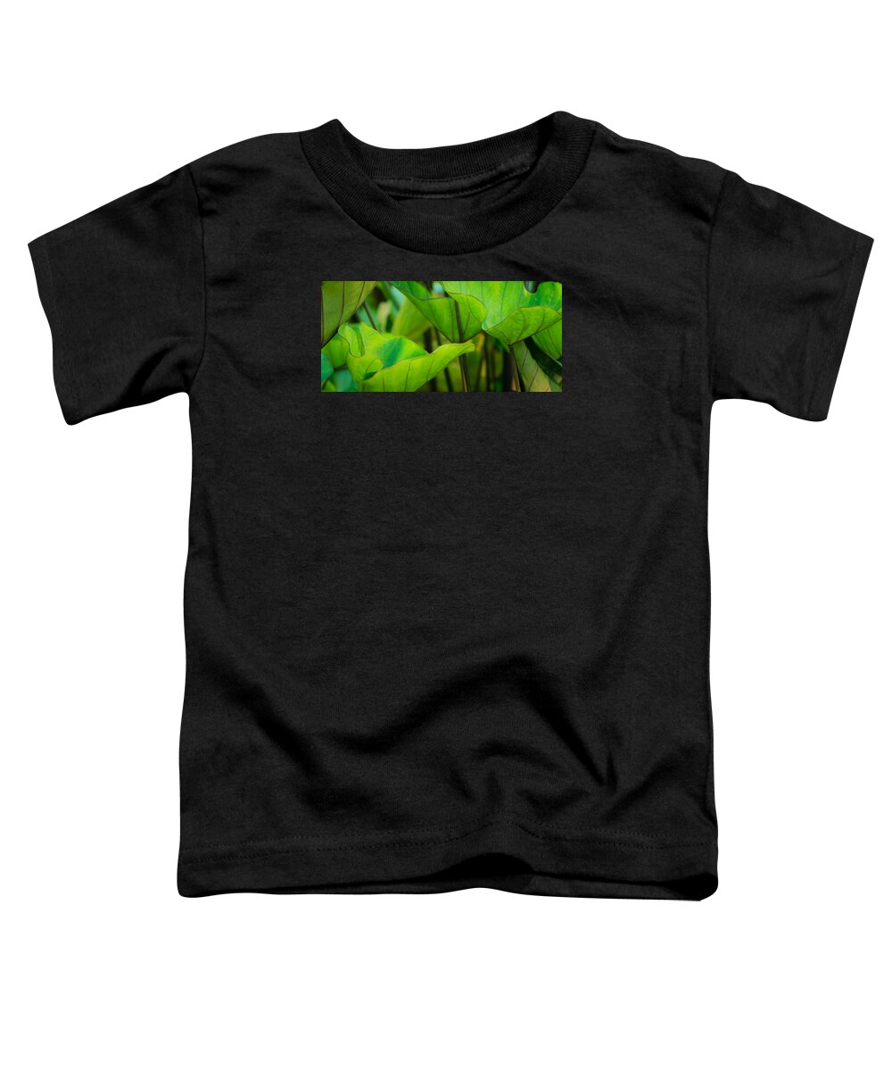 Cantigny Toddler T-Shirt featuring the photograph Green Leaves at Cantigny by Joni Eskridge