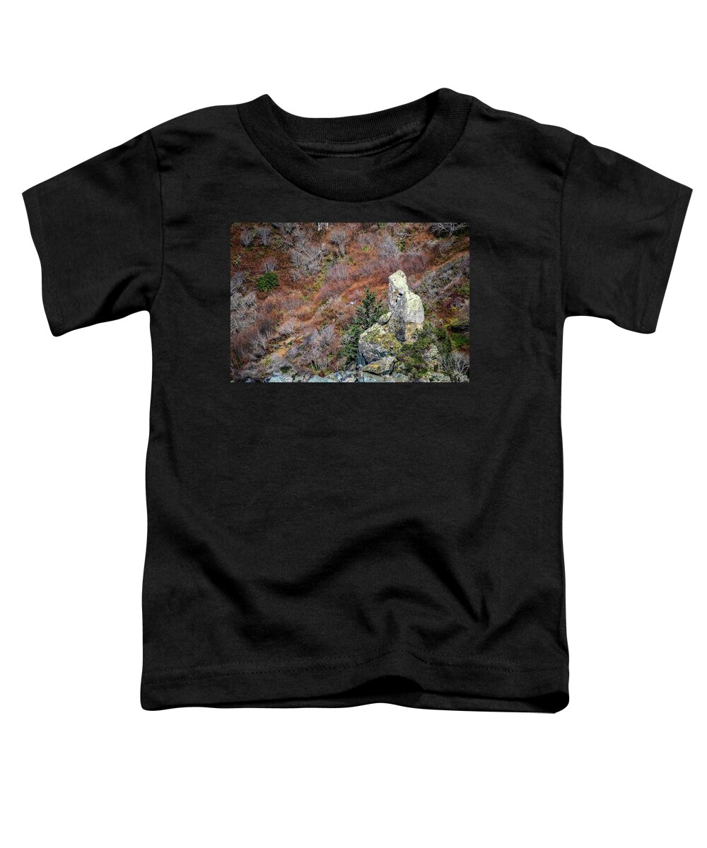 Rock Toddler T-Shirt featuring the photograph Guarding Her People by Bryan Spellman