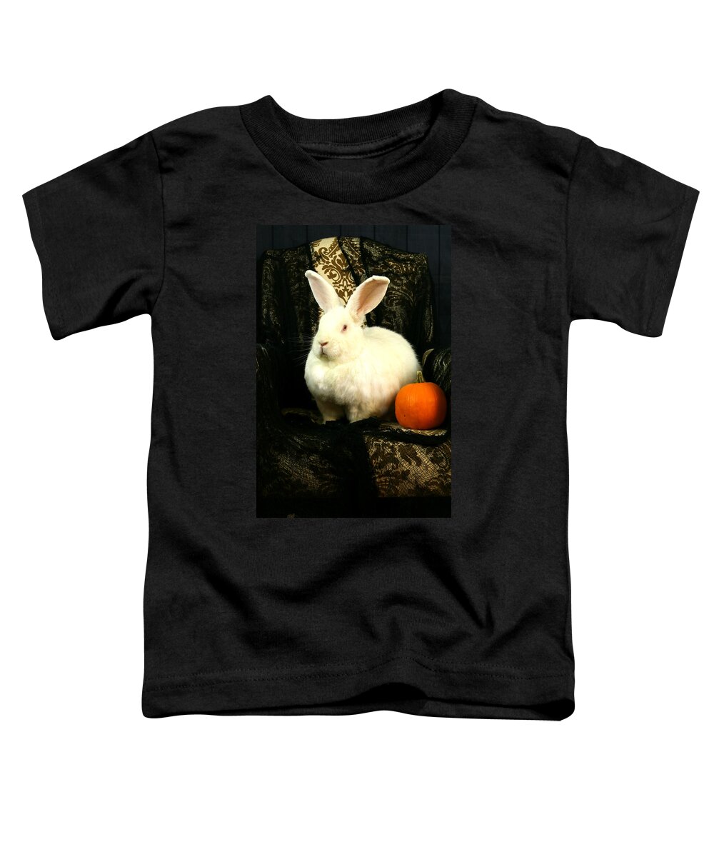Rabbit Toddler T-Shirt featuring the photograph Halloween Rabbit by Amanda Stadther