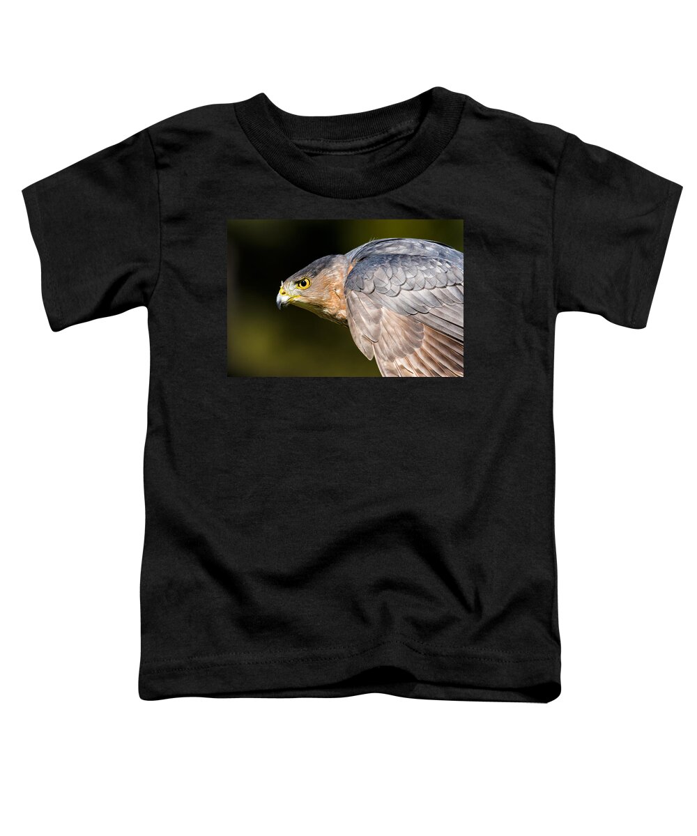 Hawk Toddler T-Shirt featuring the photograph Hawkeye by Jim Miller