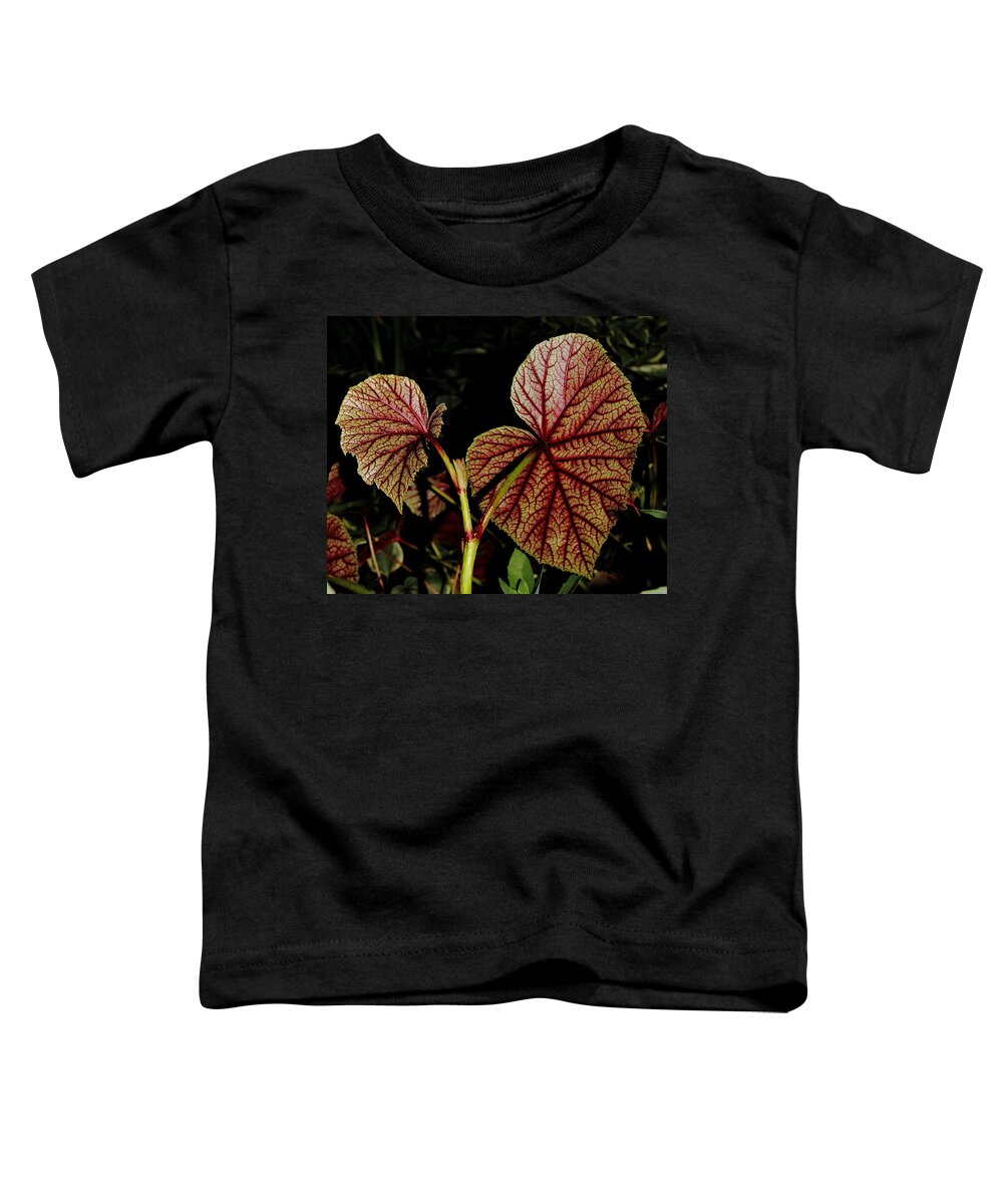 Begonia Toddler T-Shirt featuring the photograph Hearty Begonia Backside by Allen Nice-Webb