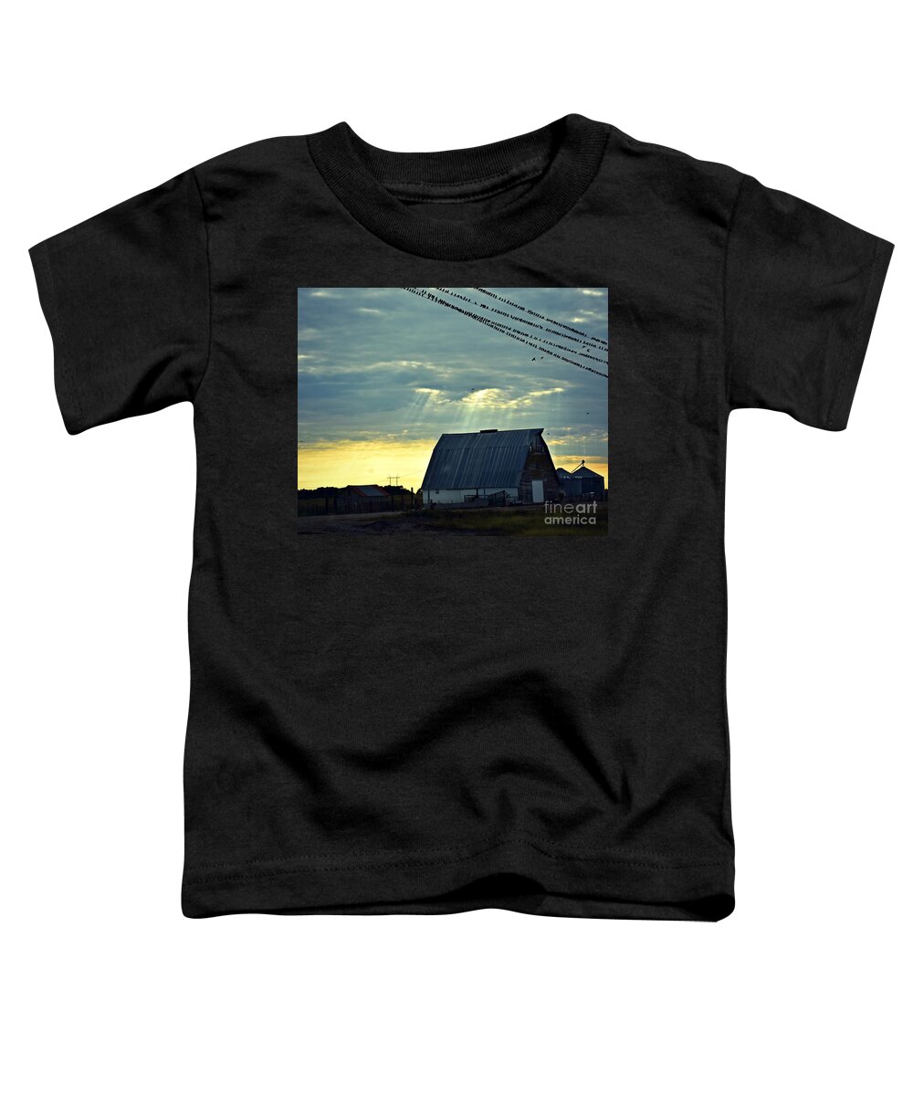 Heavenly Barn Light Toddler T-Shirt featuring the photograph Heavenly Barn Light by Kathy M Krause