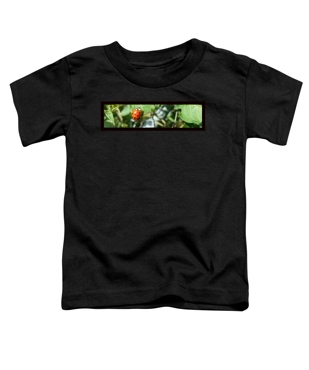 Ladybug Toddler T-Shirt featuring the photograph Hello Lady by Robert Knight