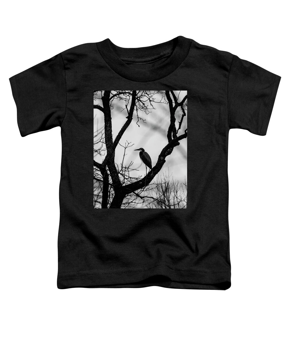 Birds Toddler T-Shirt featuring the photograph Heron in Tree by Paul Ross