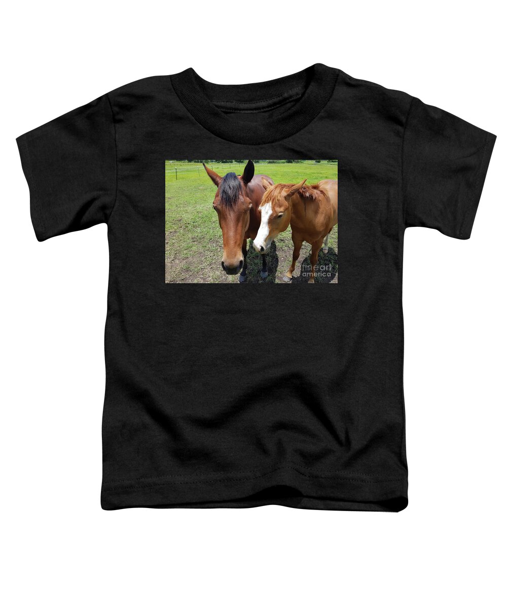Horse Toddler T-Shirt featuring the photograph Horse Love by Cassy Allsworth