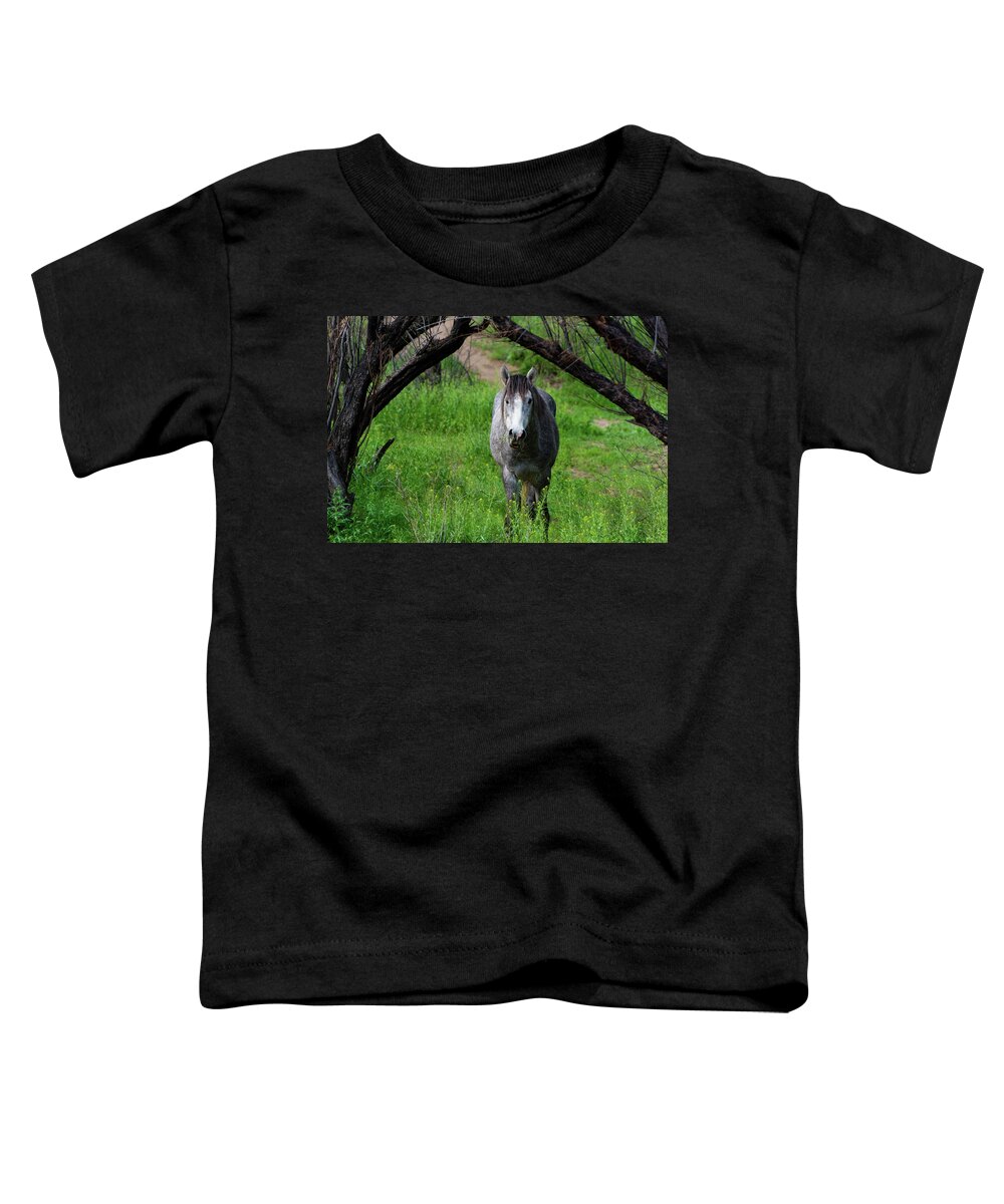 Horse Toddler T-Shirt featuring the photograph Horse's Arch by Douglas Killourie