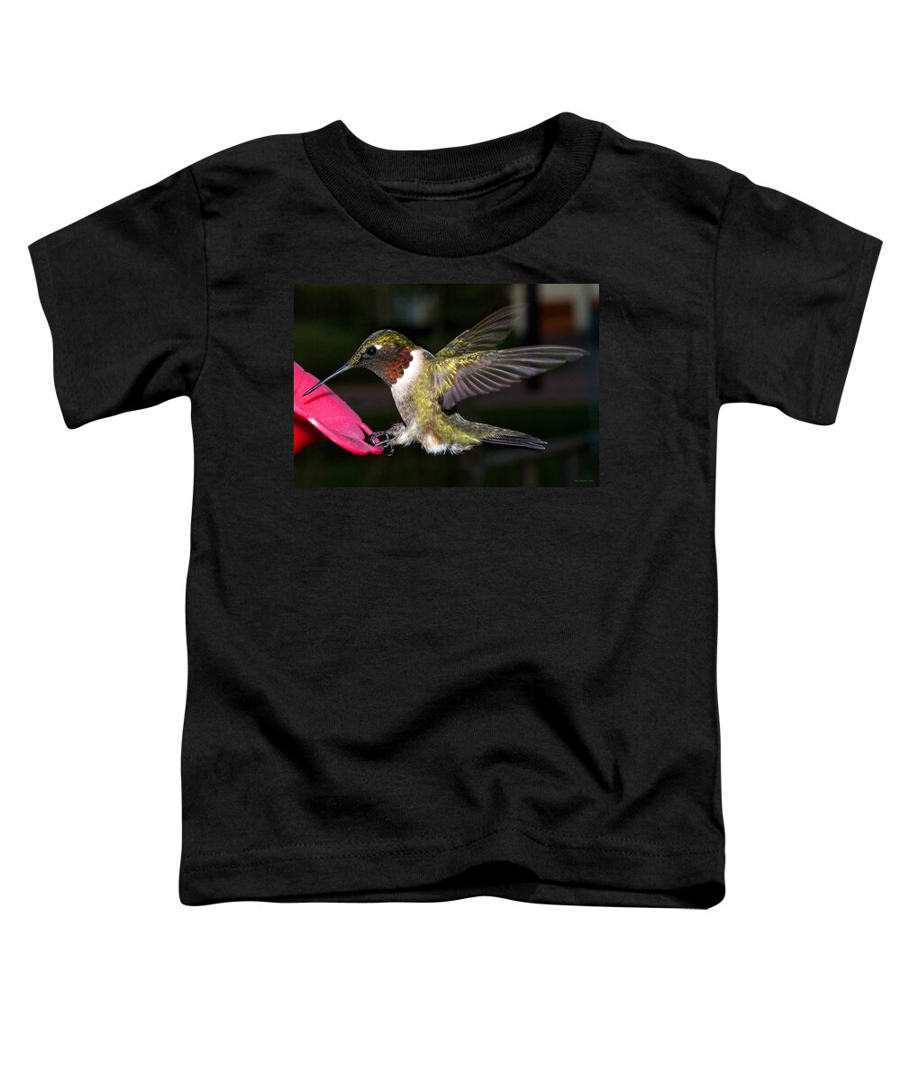 Hummingbird Toddler T-Shirt featuring the photograph Hummer by WB Johnston