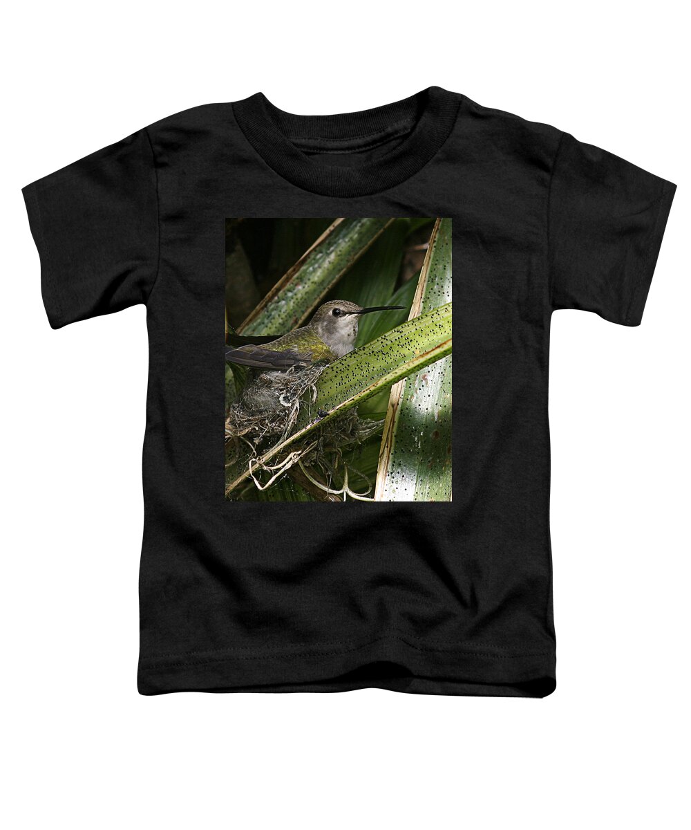 Hummingbird Toddler T-Shirt featuring the photograph Nesting Anna's Hummingbird by Anthony Jones