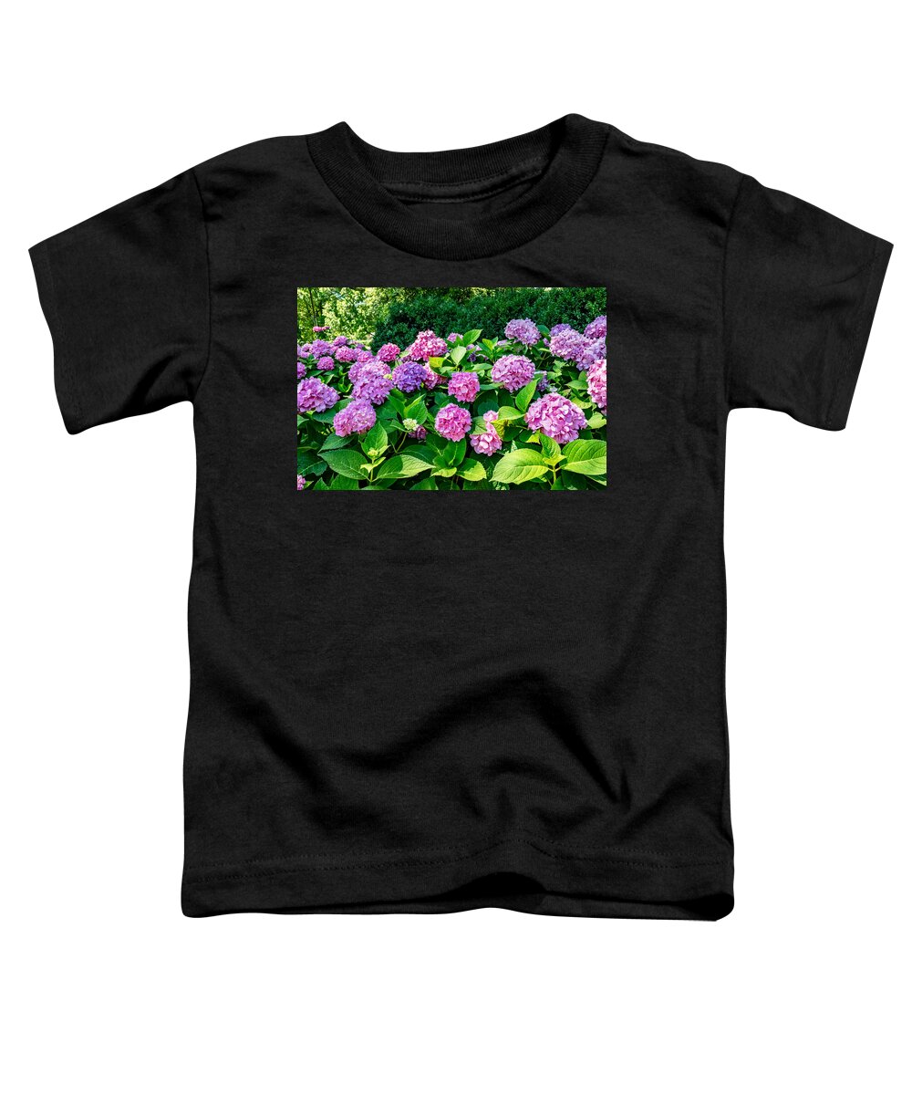 Alabama Toddler T-Shirt featuring the photograph Hydrangea by Steven Gordon