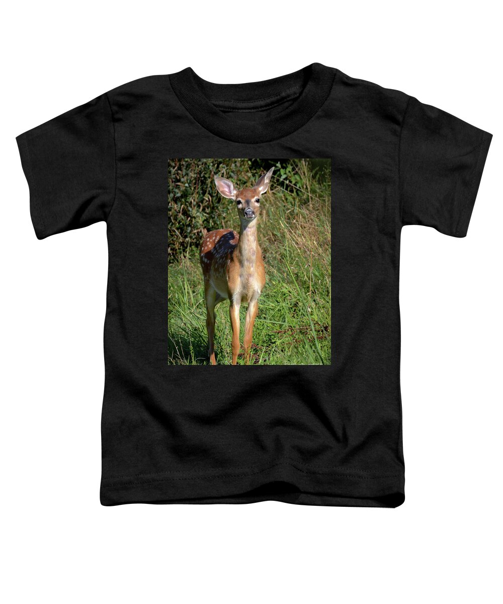 Deer Toddler T-Shirt featuring the photograph I See You by Amy Porter