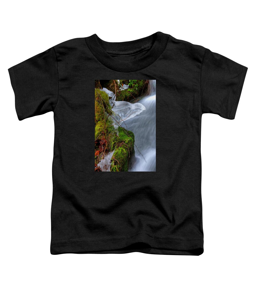 Ice Toddler T-Shirt featuring the photograph Ice Dragon by Carol Montoya