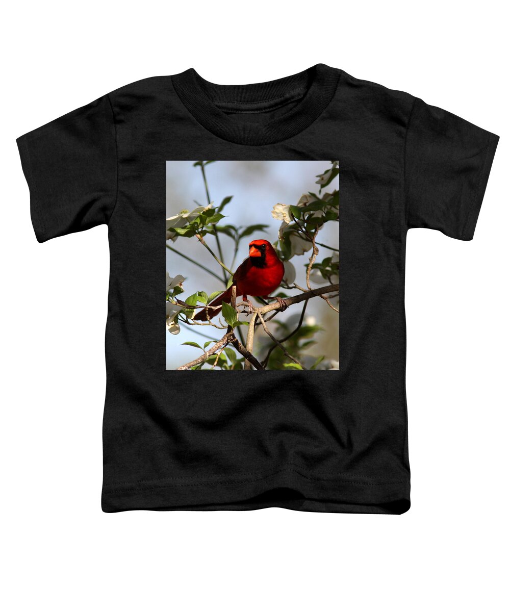 Northern Cardinal Toddler T-Shirt featuring the photograph IMG_2088-003 - Northern Cardinal by Travis Truelove