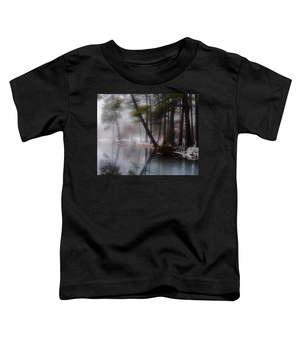 Crandall Park Toddler T-Shirt featuring the photograph In a fog by Kendall McKernon