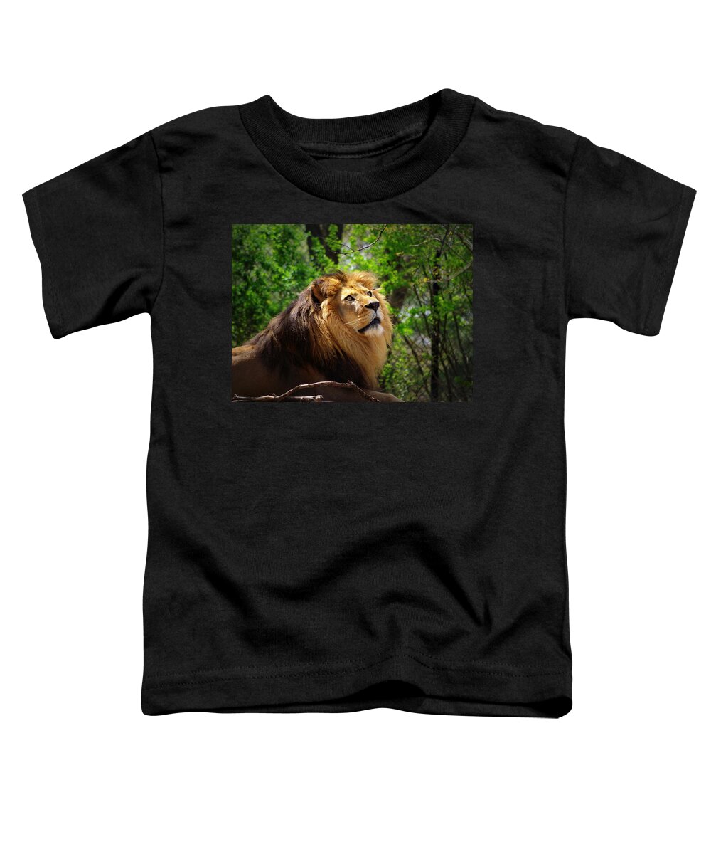 Lion Toddler T-Shirt featuring the photograph In Awe of You by Linda Mishler