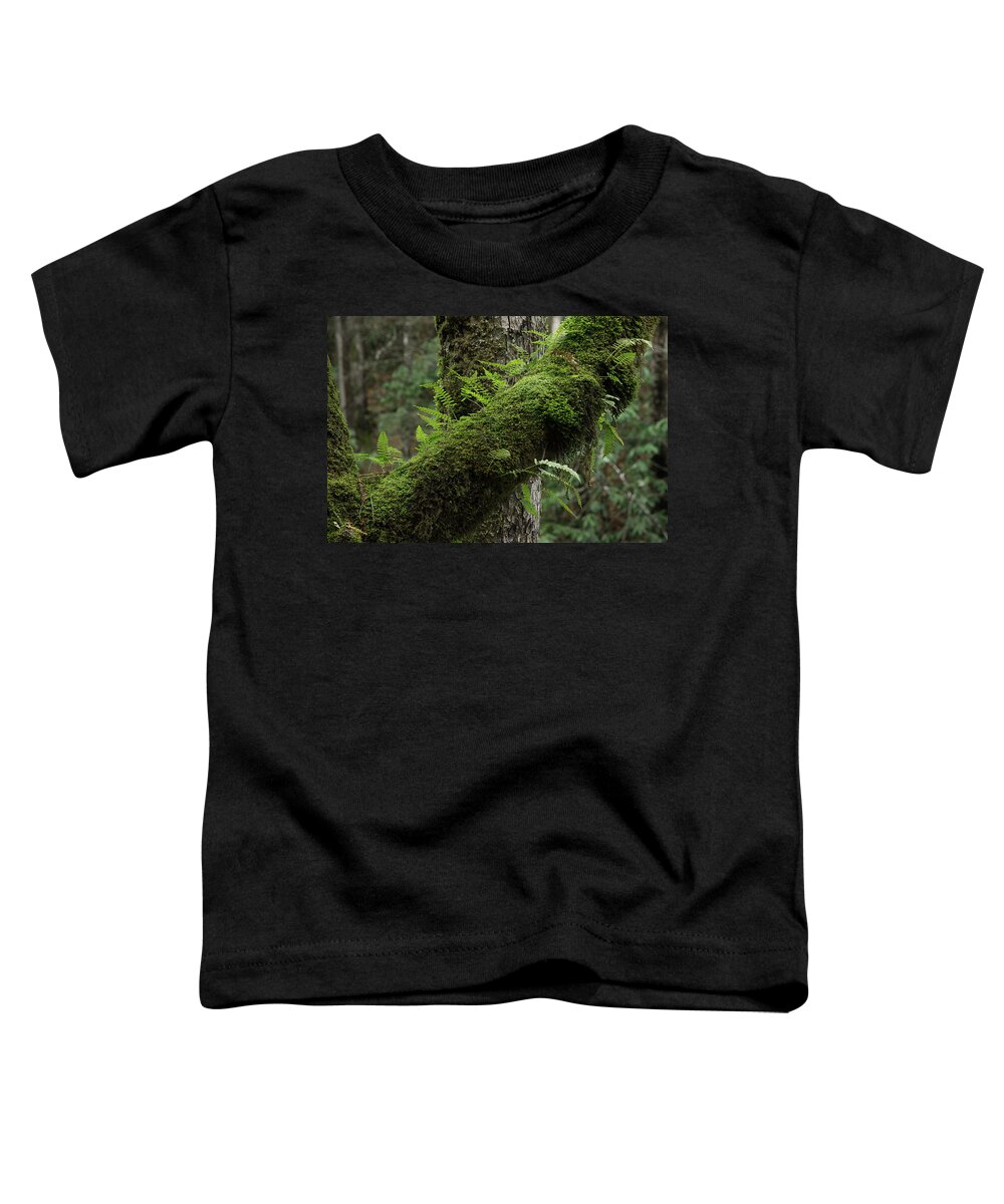 Moss Toddler T-Shirt featuring the photograph In The Cool Of The Forest by Mike Eingle