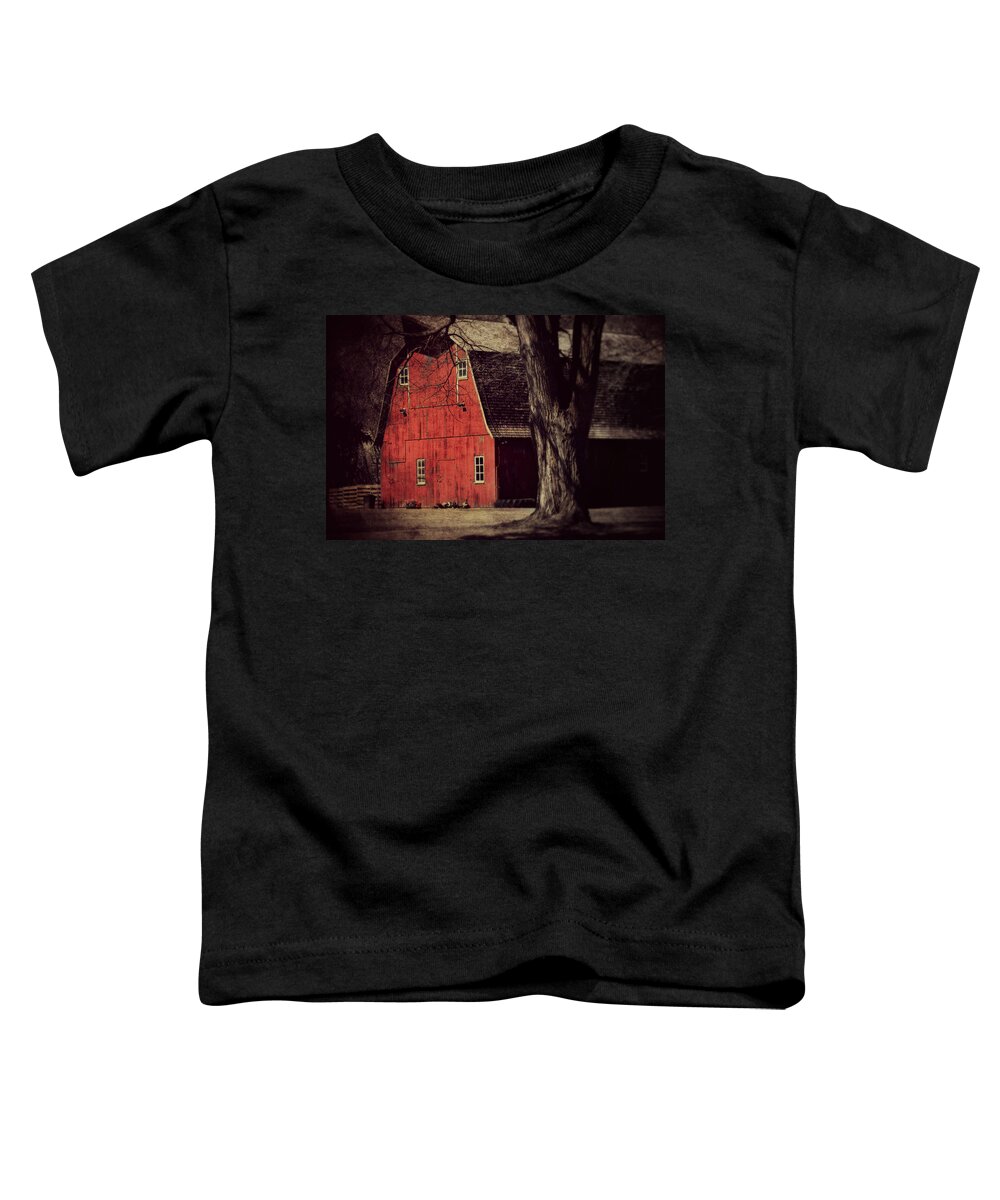 Barn Toddler T-Shirt featuring the photograph In the spotlight by Julie Hamilton
