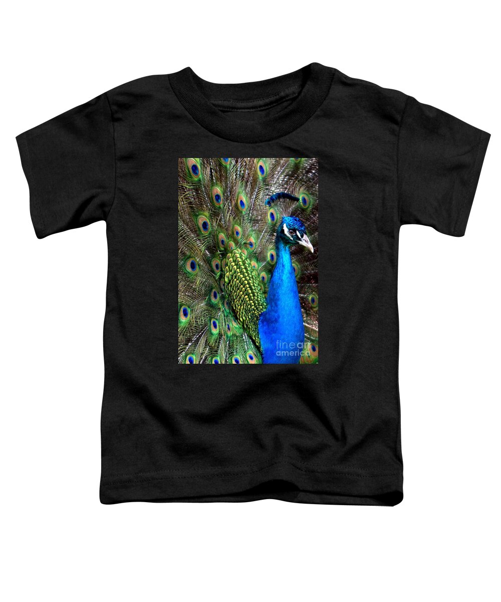 Indian Peacock Toddler T-Shirt featuring the photograph Indian Peacock II by Lilliana Mendez