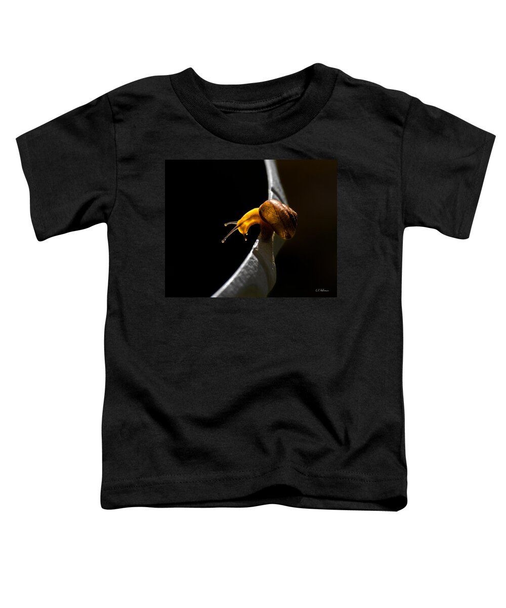 Insect Toddler T-Shirt featuring the photograph It's Dark Down There by Christopher Holmes