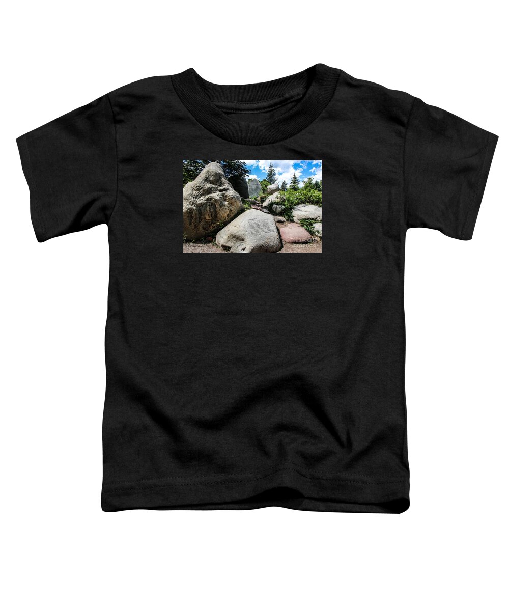 John Denver Toddler T-Shirt featuring the photograph John Denver Sanctuary Aspen Memorial by Veronica Batterson