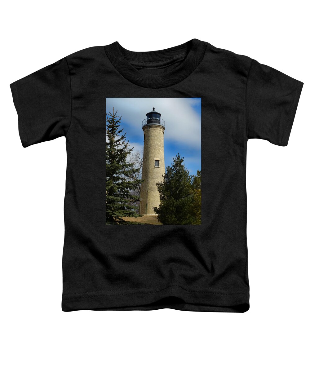 1866 Toddler T-Shirt featuring the photograph Kenosha Southpoint Lighthouse by David T Wilkinson
