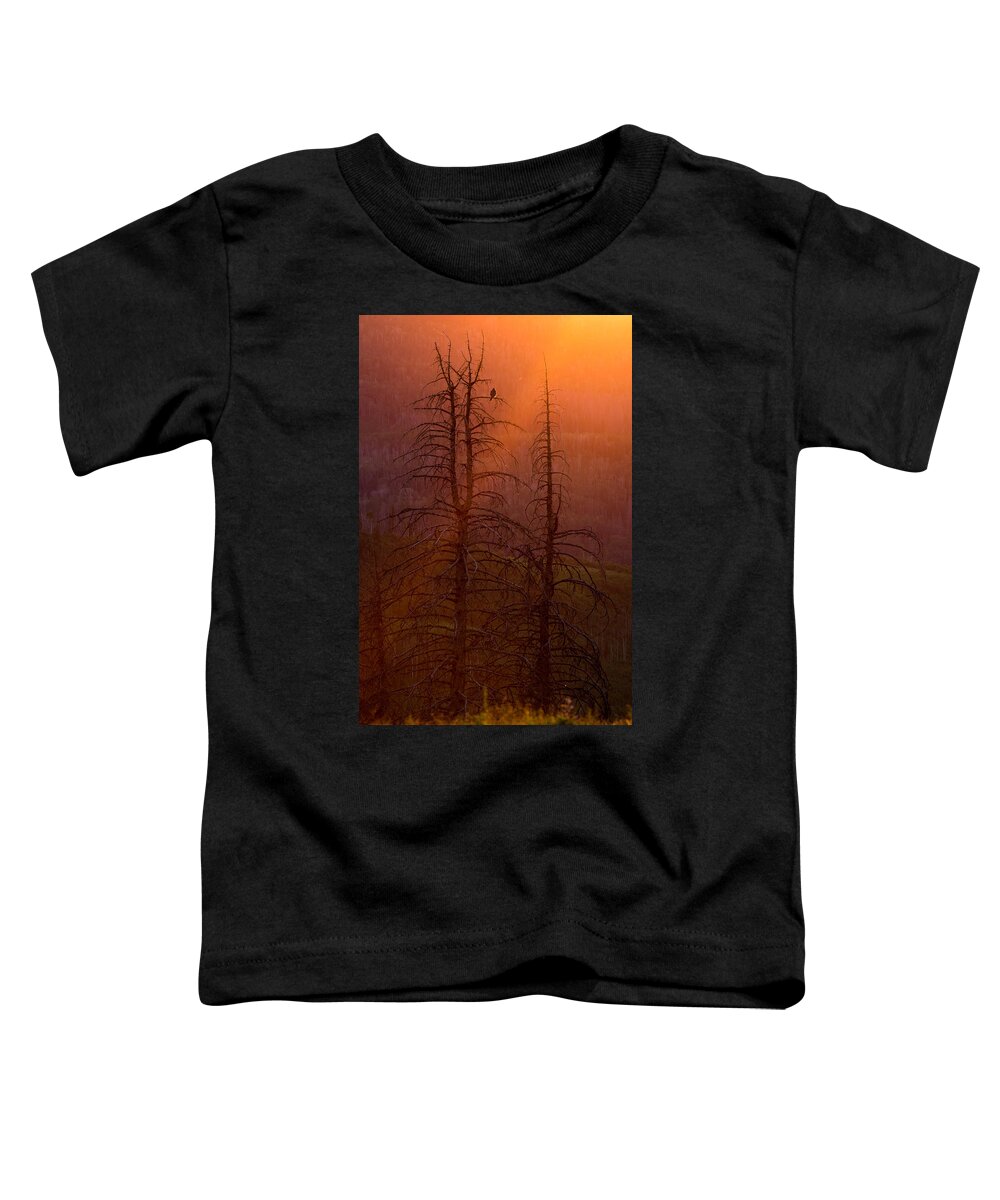Utah Toddler T-Shirt featuring the photograph Kingdom by Dustin LeFevre