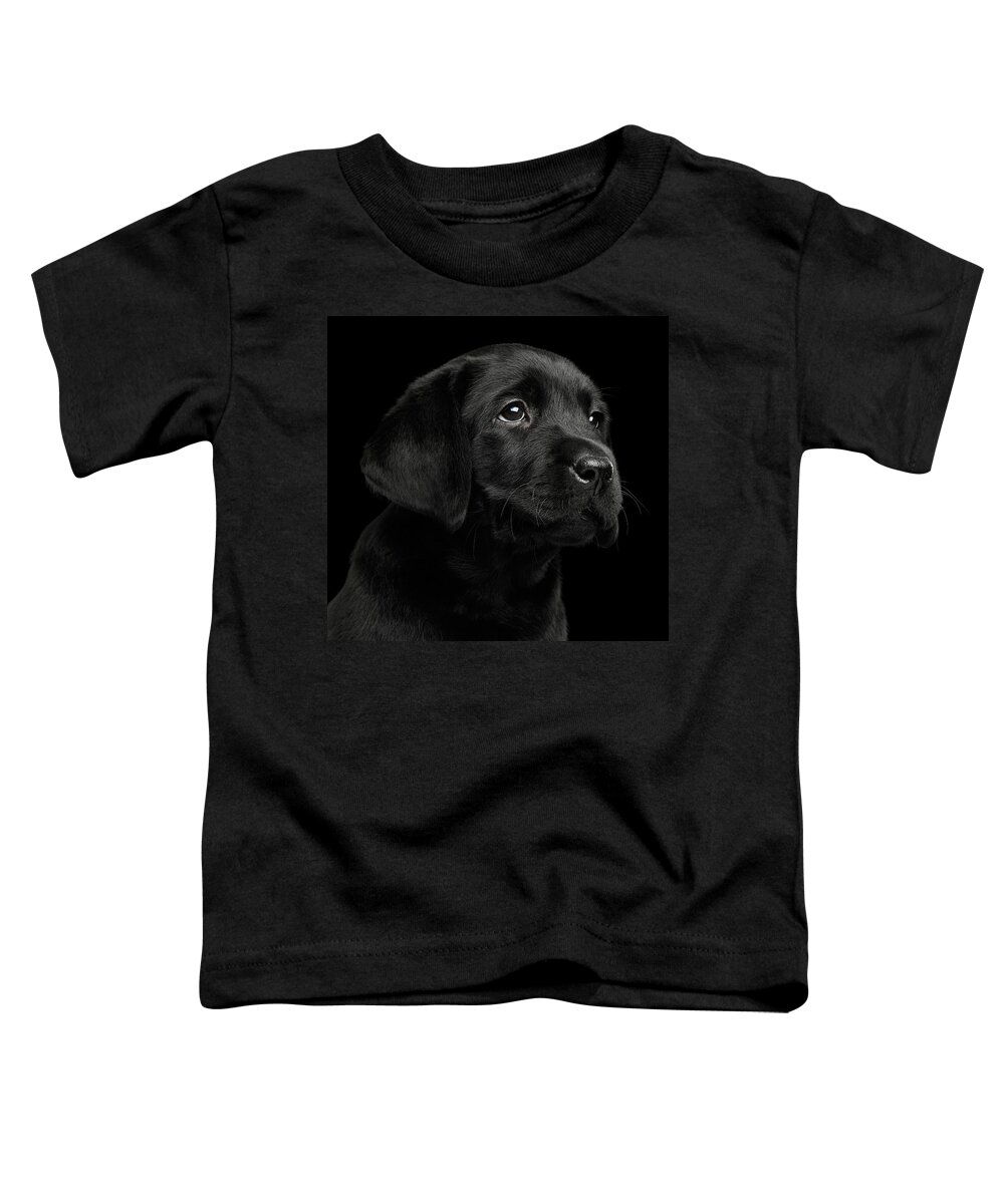 Puppy Toddler T-Shirt featuring the photograph Labrador Retriever puppy isolated on black background by Sergey Taran