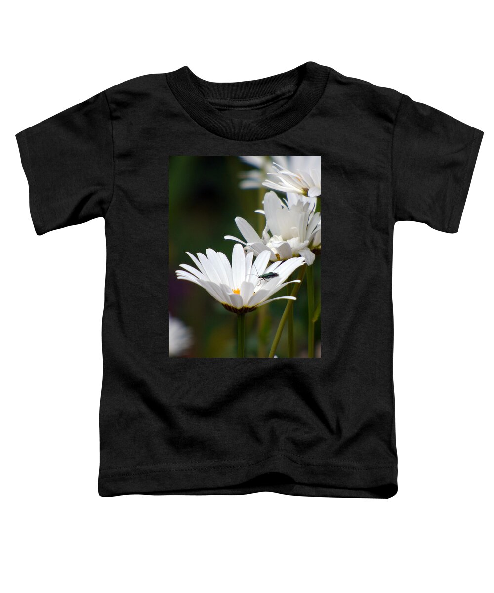 Daisy Toddler T-Shirt featuring the photograph Large Daisies with Bug by Lynn Bolt