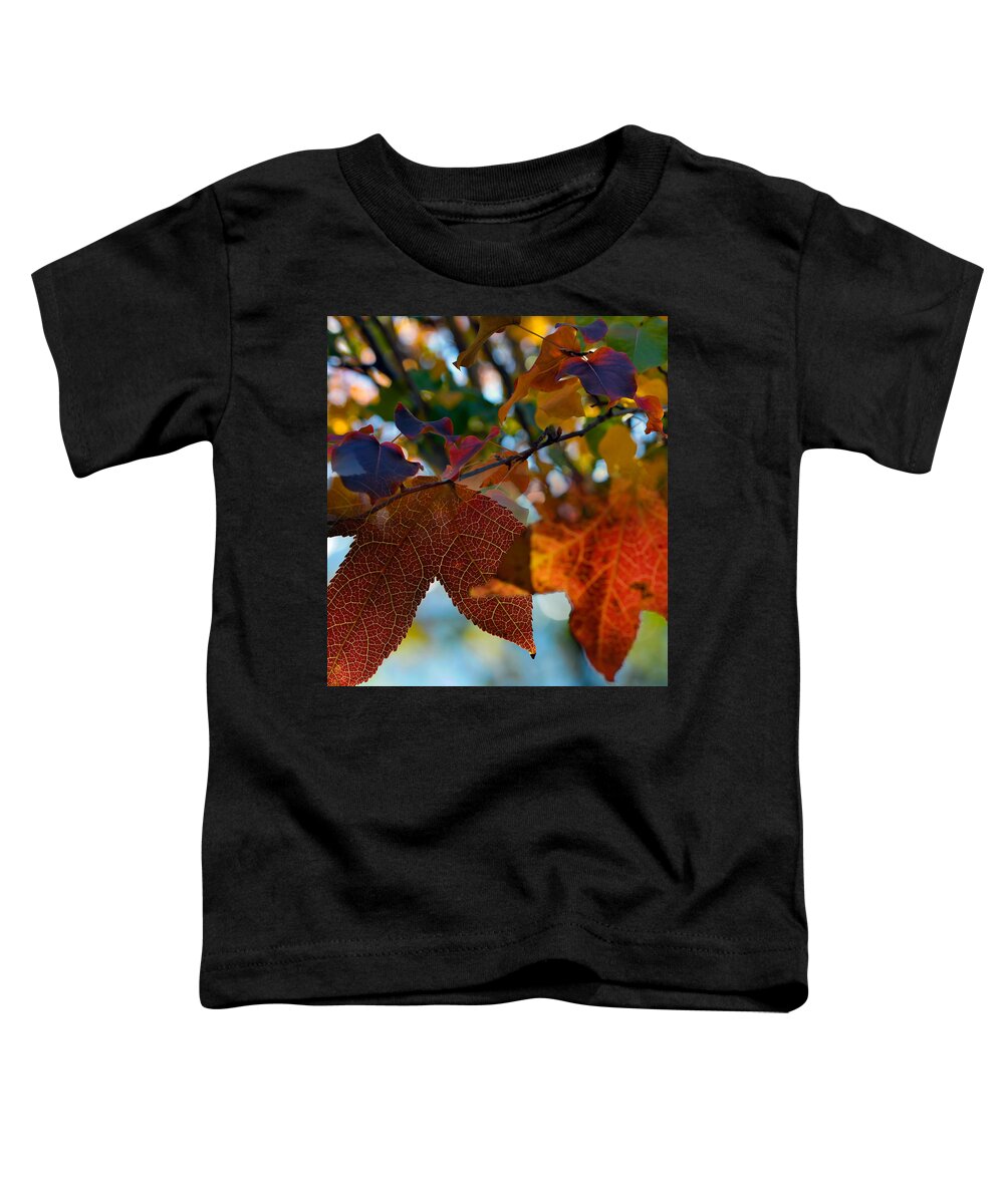 Fall Toddler T-Shirt featuring the photograph Late Autumn Colors by Stephen Anderson