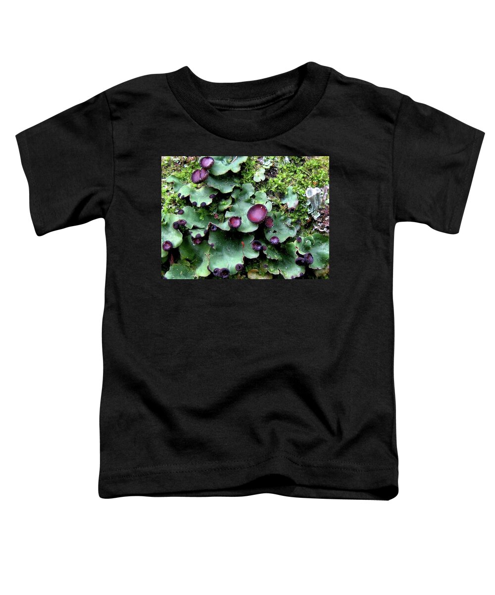 Purple Toddler T-Shirt featuring the photograph Lichen by 'REA' Gallery
