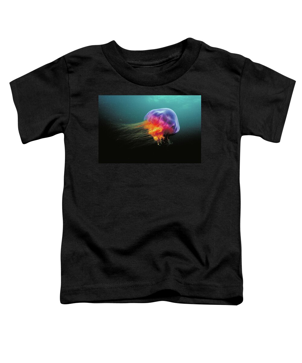 00301208 Toddler T-Shirt featuring the photograph Lions Mane Cyanea Capillata Jellyfish by Scott Leslie