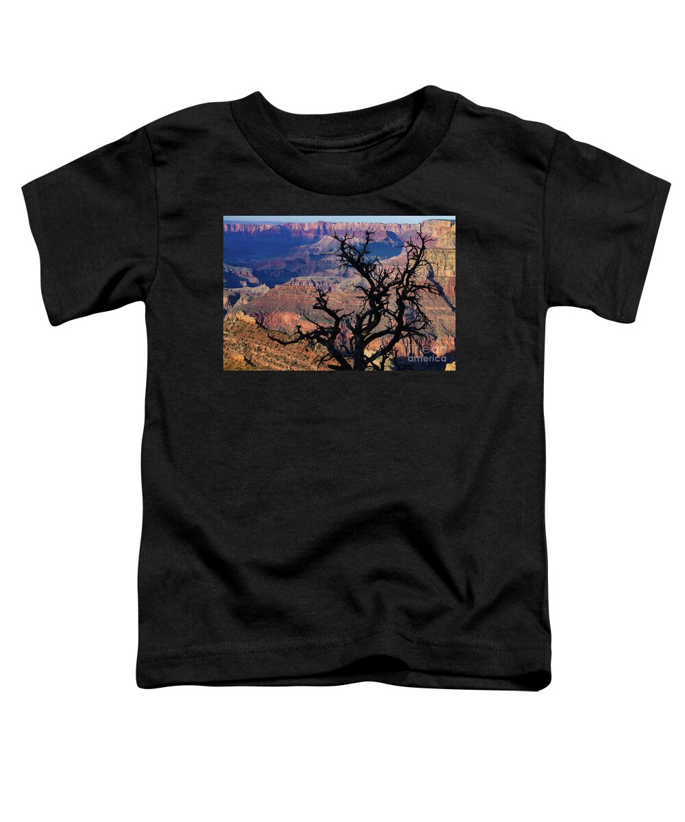 Grand Canyon National Park Toddler T-Shirt featuring the photograph Lipan Overlook Grand Canyon 1 by Jerry Fornarotto