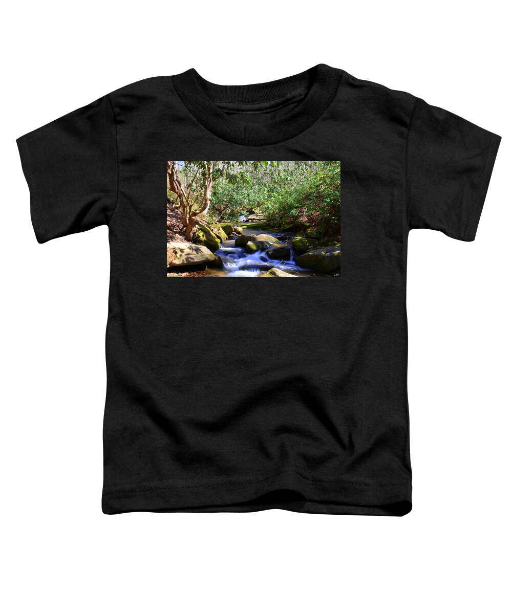 Little Gap Creek 2 Toddler T-Shirt featuring the photograph Little Gap Creek 2 by Lisa Wooten