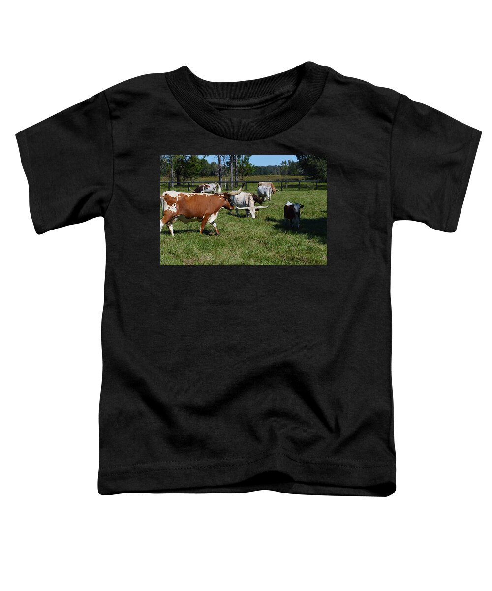 Longhorn Family Toddler T-Shirt featuring the photograph Longhorn Family by Warren Thompson