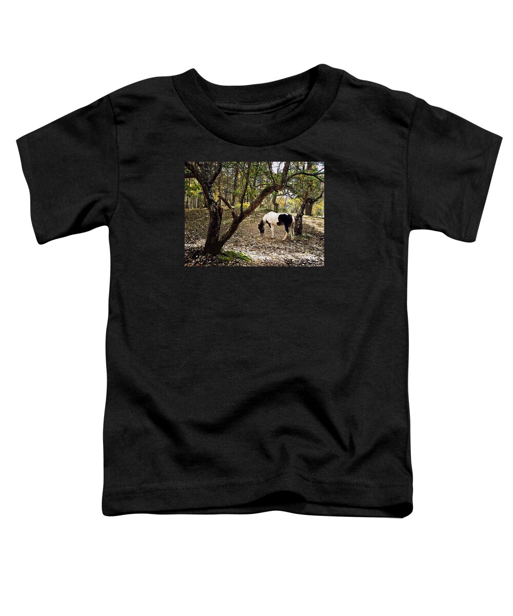 Looking For Apples Toddler T-Shirt featuring the photograph Looking For Apples by Joy Nichols