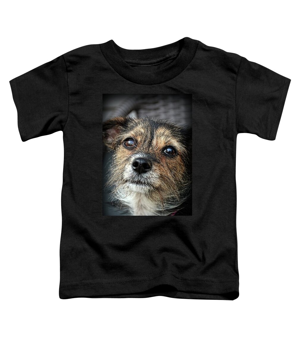 Dogs Toddler T-Shirt featuring the photograph Maggie by Angie Tirado