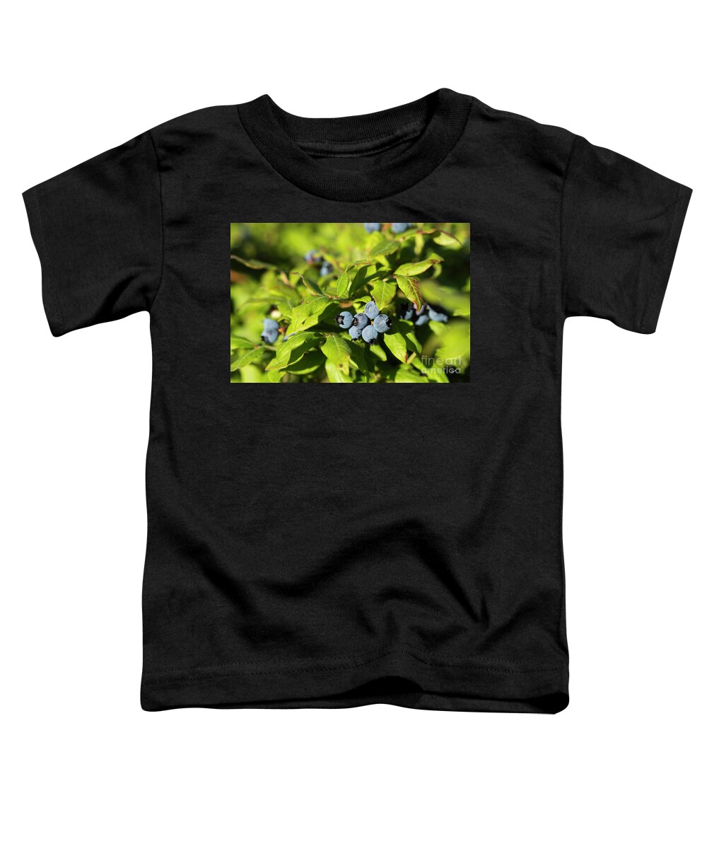 Eat Toddler T-Shirt featuring the photograph Maine Wild Blueberries by Alana Ranney