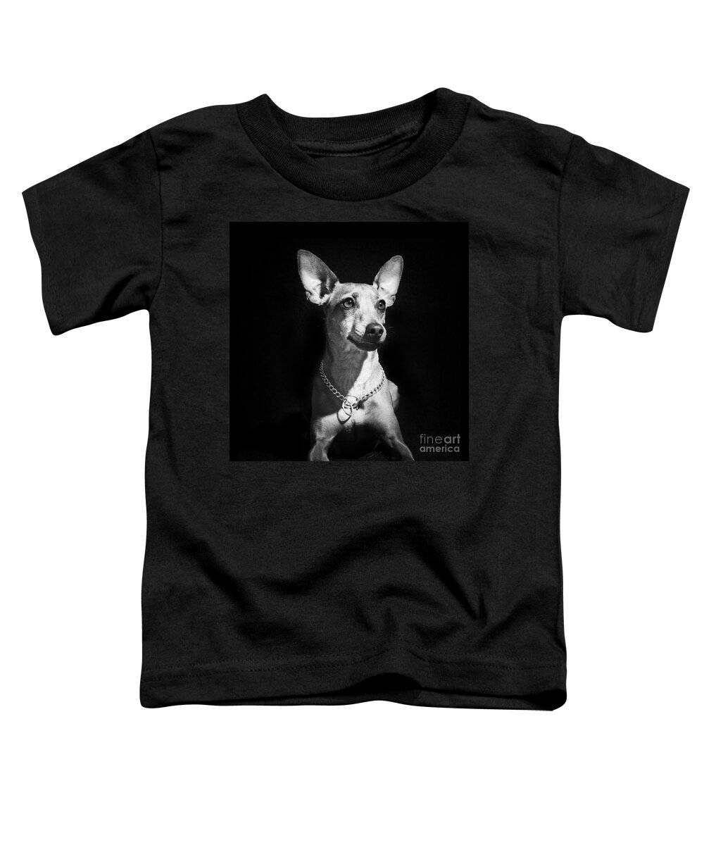 Dog Toddler T-Shirt featuring the photograph Miniature Pinscher dog by Gunnar Orn Arnason