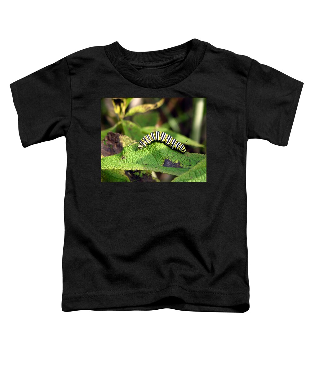 Monarch Toddler T-Shirt featuring the photograph Monarch Caterpillar by George Jones