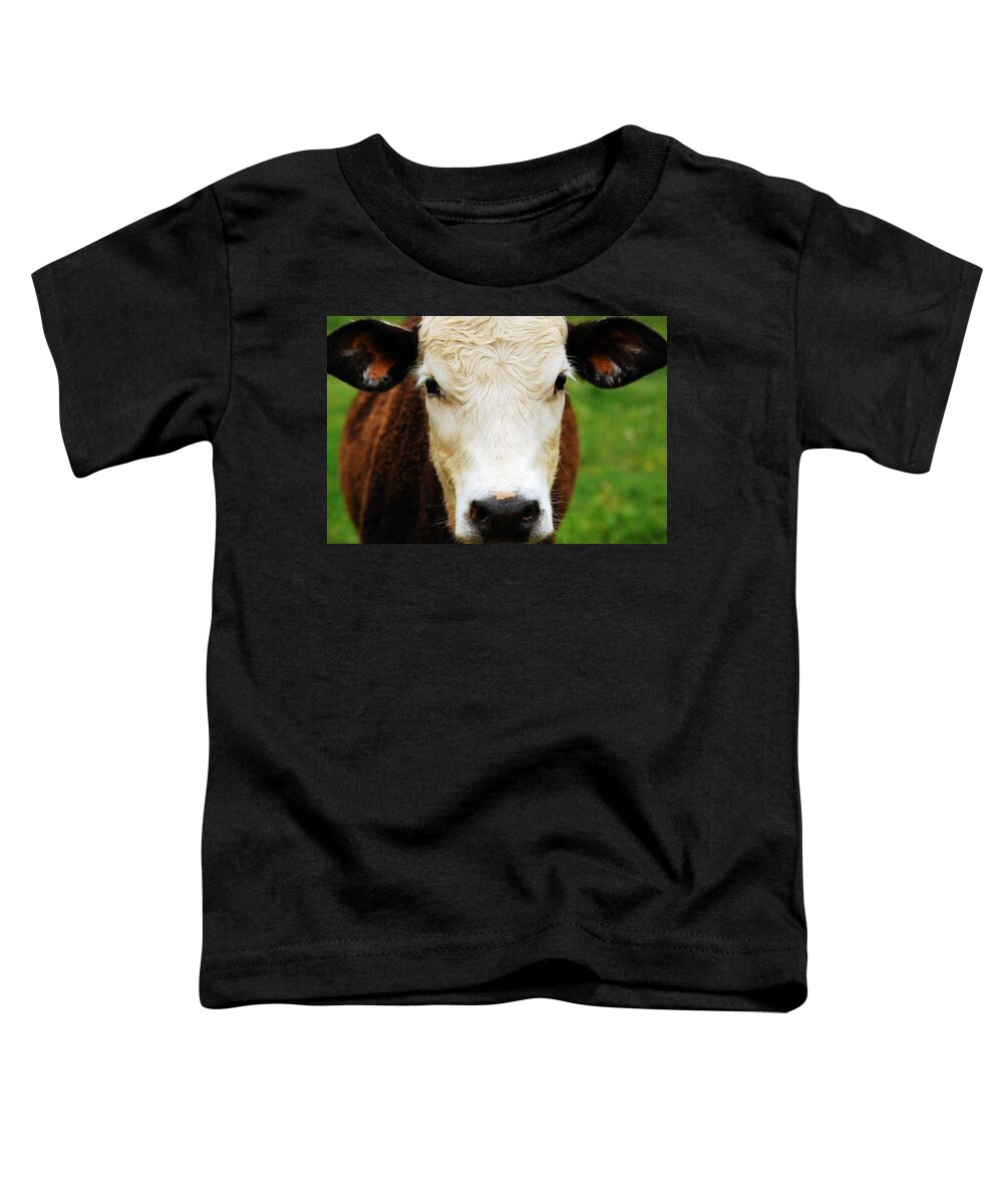 Cow Toddler T-Shirt featuring the photograph Moo by Lori Tambakis