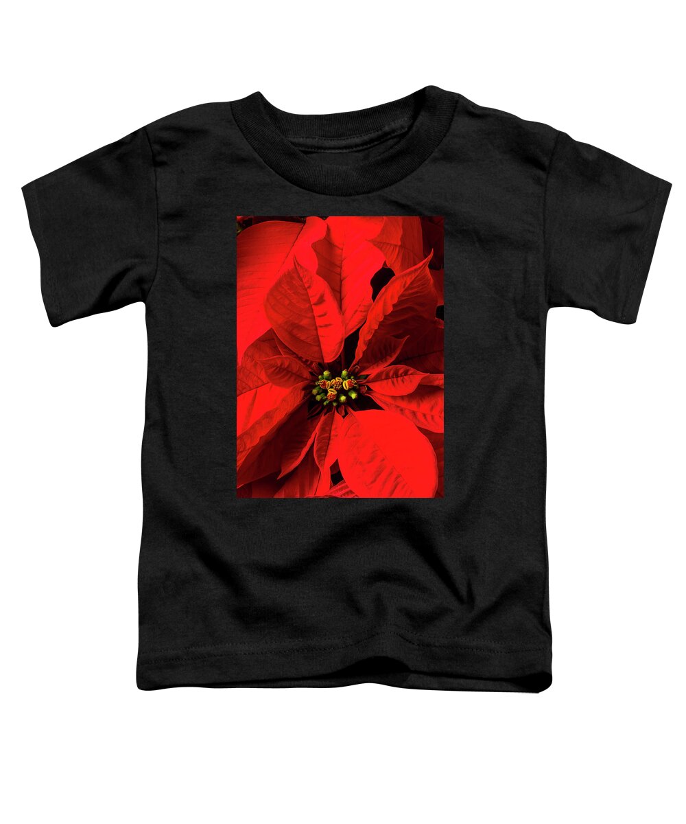 Red Poinsettia Toddler T-Shirt featuring the photograph Moody poinsettia by Garry Gay