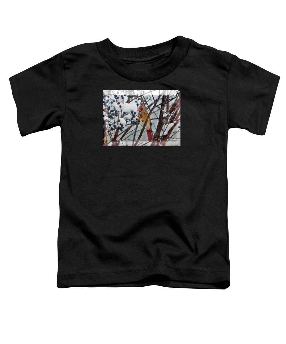 Cardinal Toddler T-Shirt featuring the photograph More Than a Cold Snap by Lydia Holly