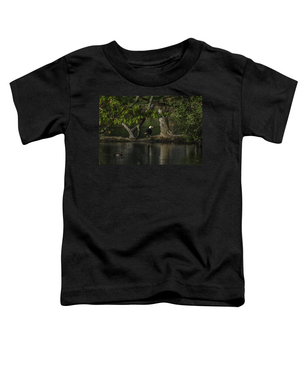 Eagle Toddler T-Shirt featuring the photograph Morning Bath by Everet Regal