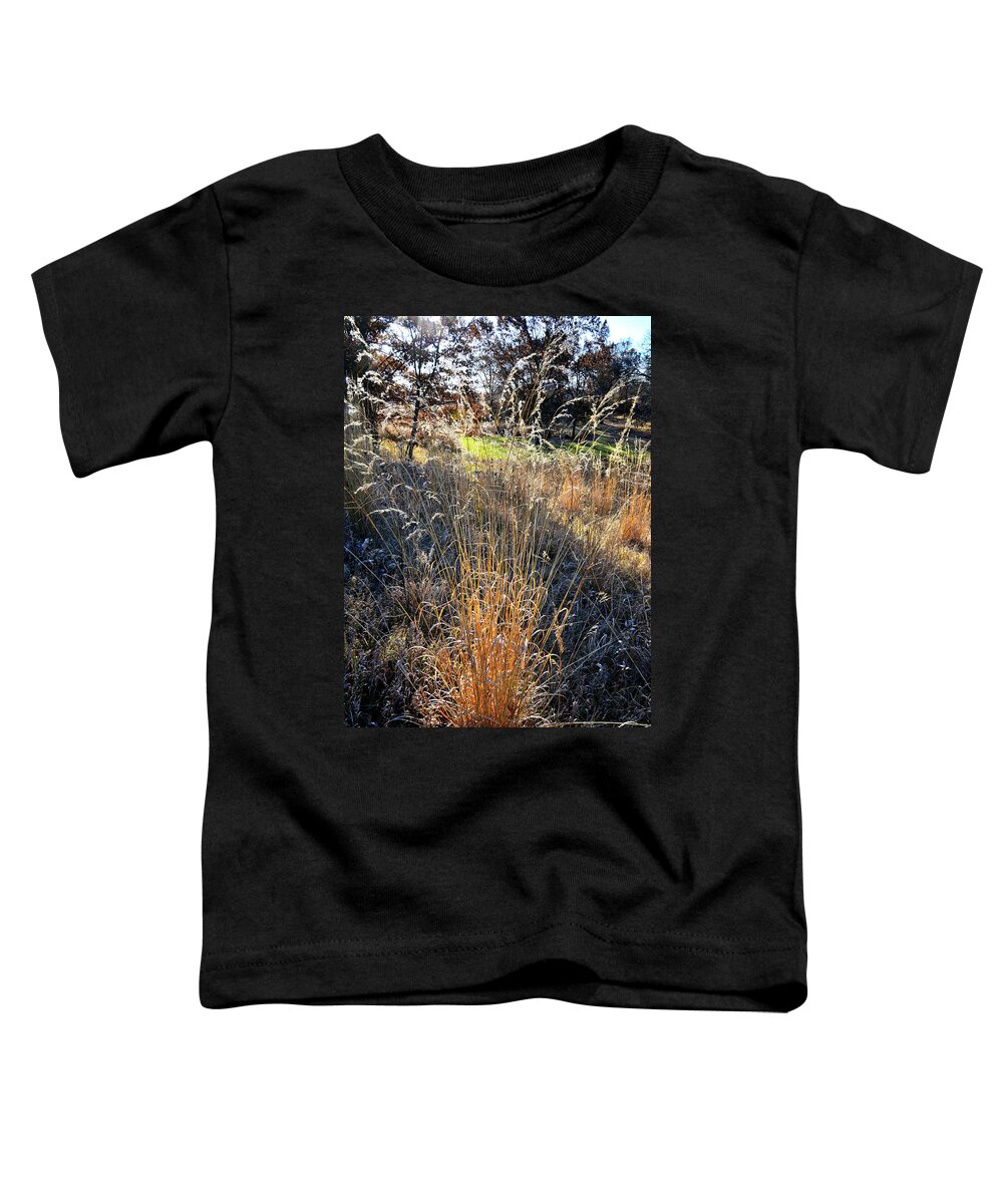Glacial Park Toddler T-Shirt featuring the photograph Morning Sun Backlights Fall Grasses in Glacial Park by Ray Mathis