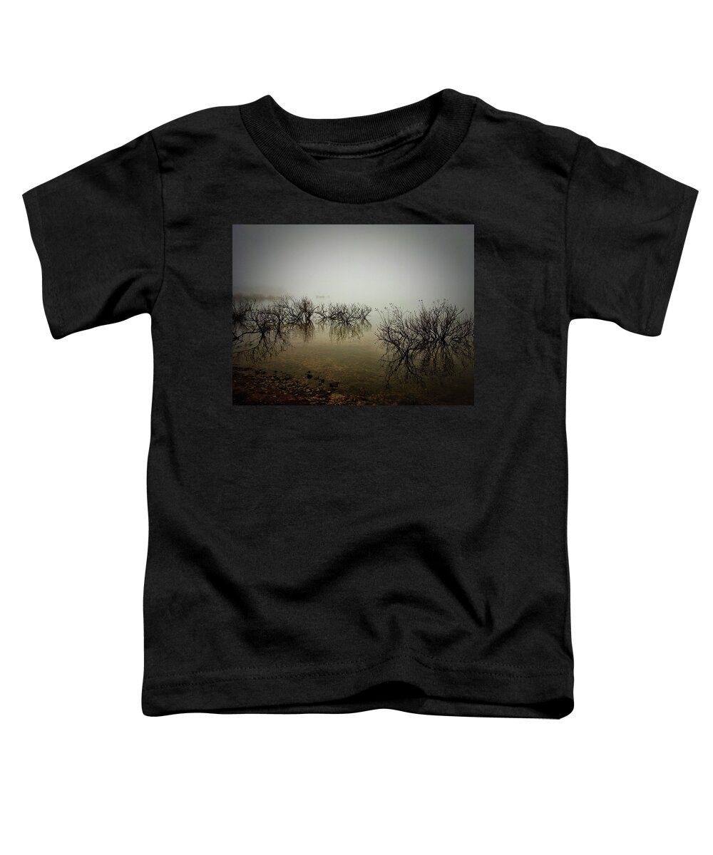 Fog Toddler T-Shirt featuring the photograph Mystery Amidst the Fog II by Doris Aguirre