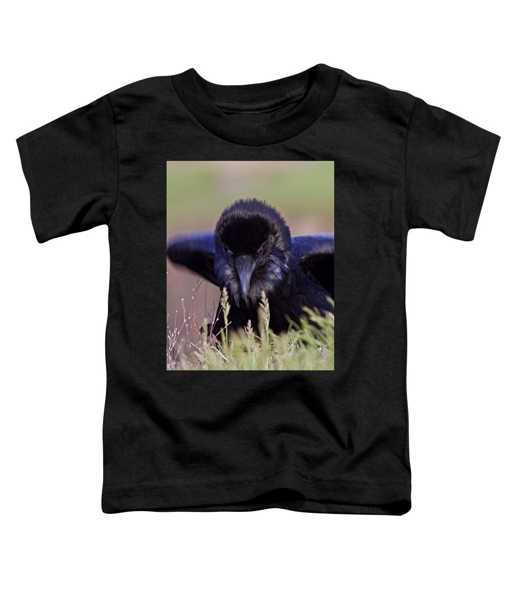 Raven Toddler T-Shirt featuring the photograph Nevermore by Todd Kreuter