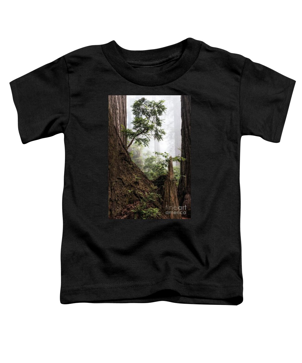 Afternoon Toddler T-Shirt featuring the photograph New Growth At Last Chance by Al Andersen